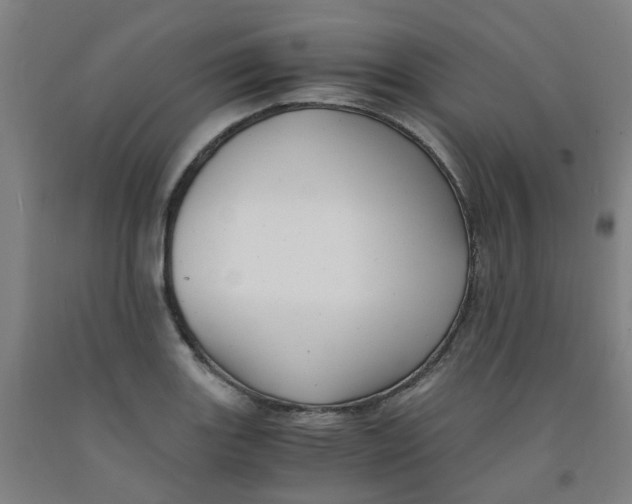 X0000091981131200709271422