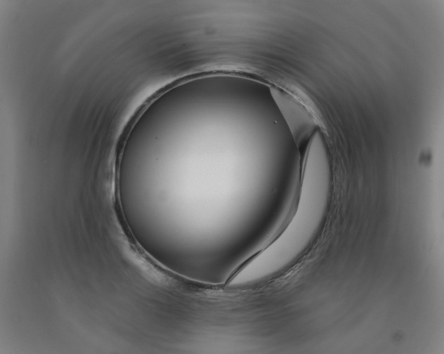 X0000091981132200709271422