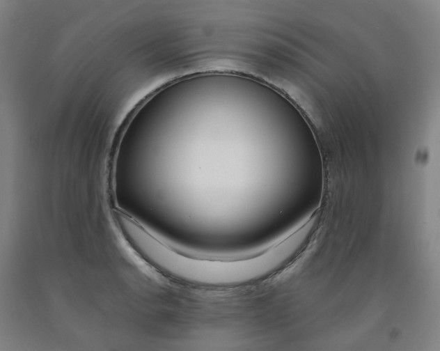 X0000091981134200709271422