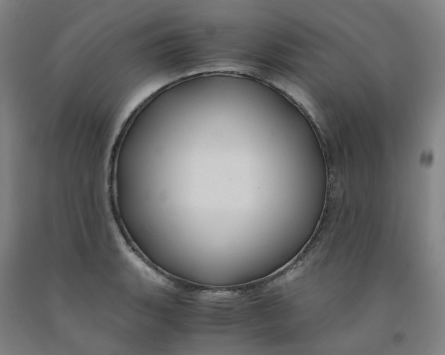 X0000091981135200709271422