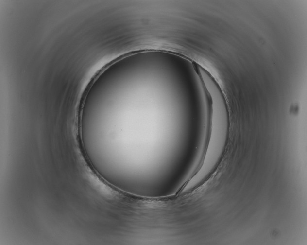 X0000091981136200709271422