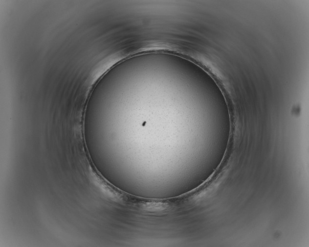 X0000091981137200709271422