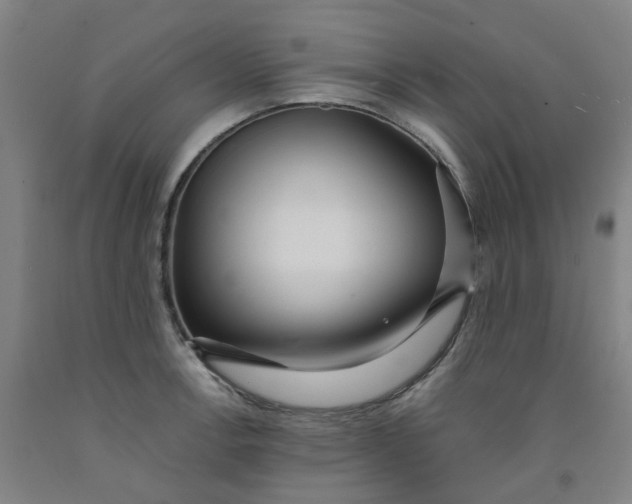 X0000091981138200709271422