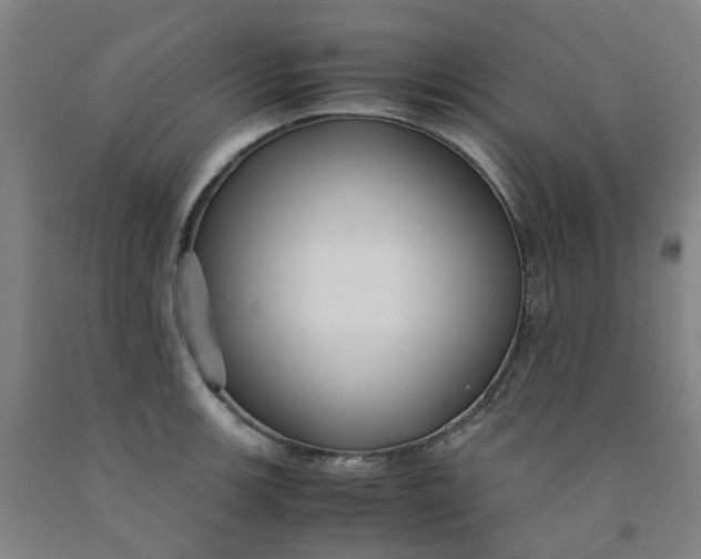 X0000091981139200709271422