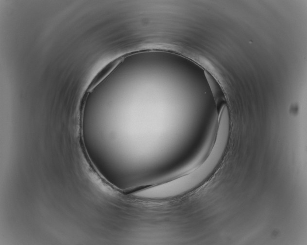 X0000091981140200709271422