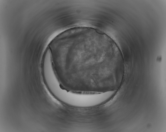 X0000091981141200709271422