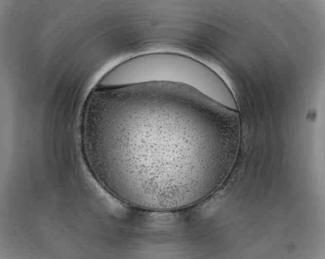 X0000091981142200709271422