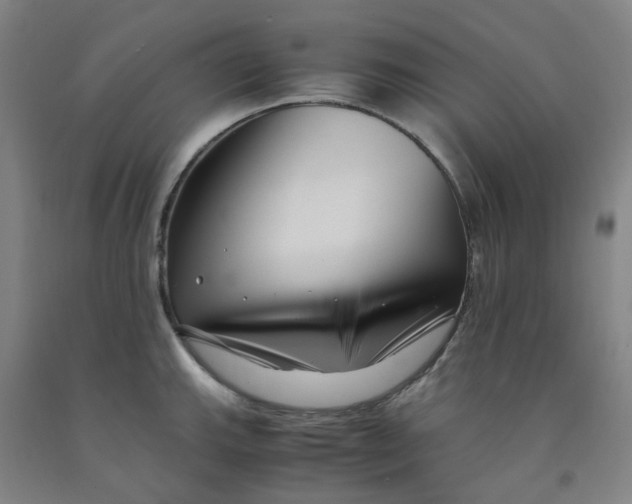 X0000091981143200709271422