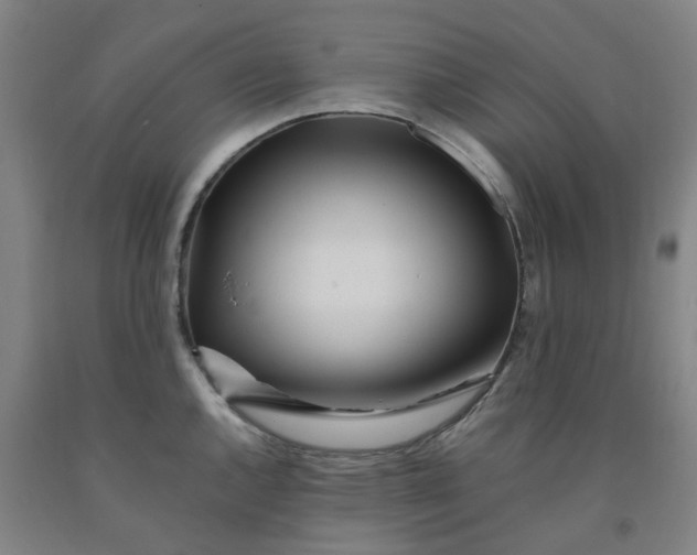 X0000091981144200709271422