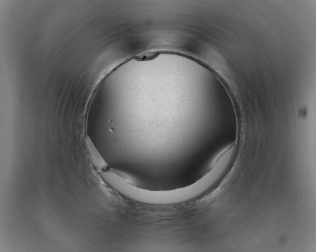 X0000091981145200709271422