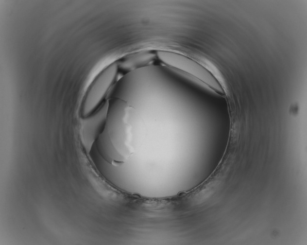 X0000091981146200709271422