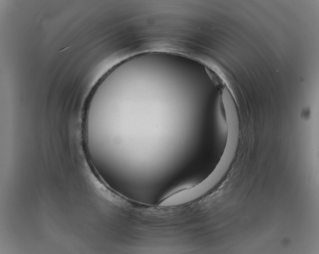 X0000091981147200709271422