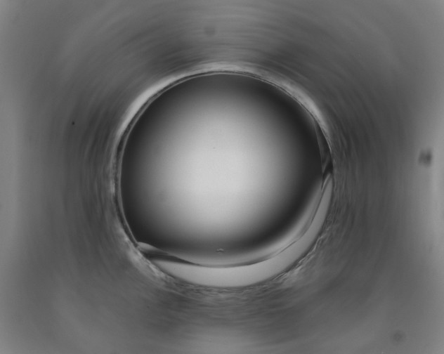 X0000091981148200709271422