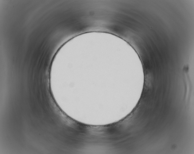 X0000091981150200709271422