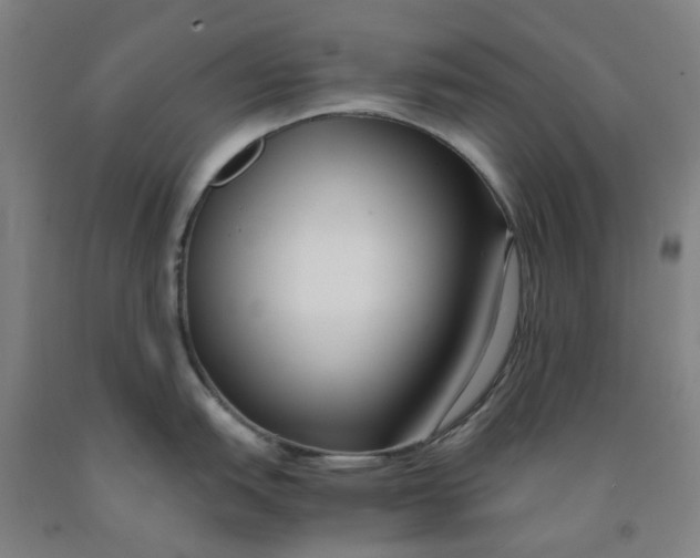 X0000091981151200709271422