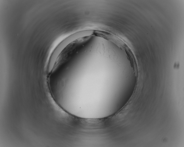 X0000091981152200709271422