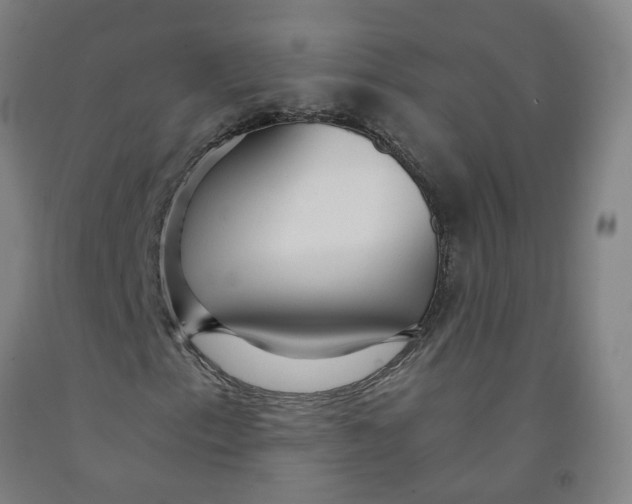 X0000091981153200709271421