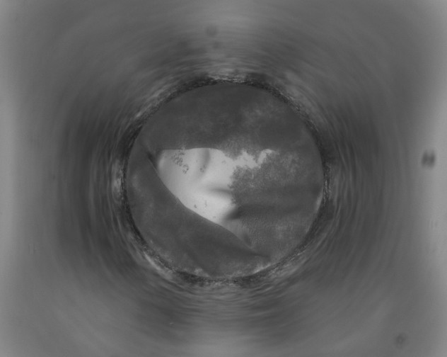 X0000091981154200709271421