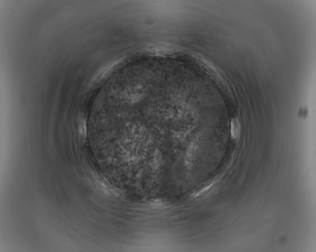 X0000091981155200709271421