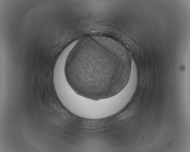 X0000091981156200709271421