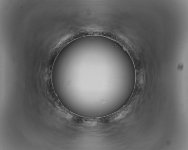 X0000091981157200709271421