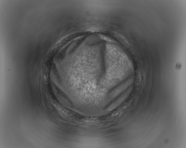 X0000091981158200709271421