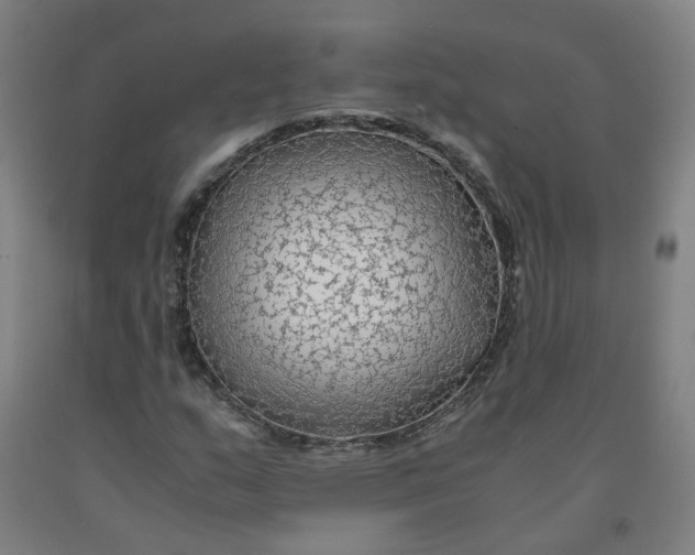 X0000091981159200709271421