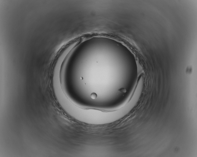 X0000091981160200709271421