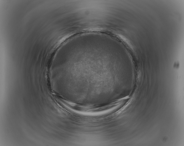 X0000091981161200709271421