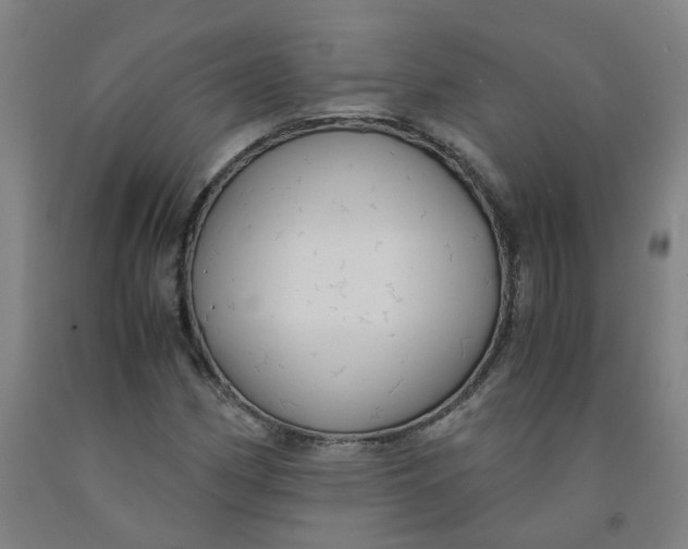 X0000091981162200709271421