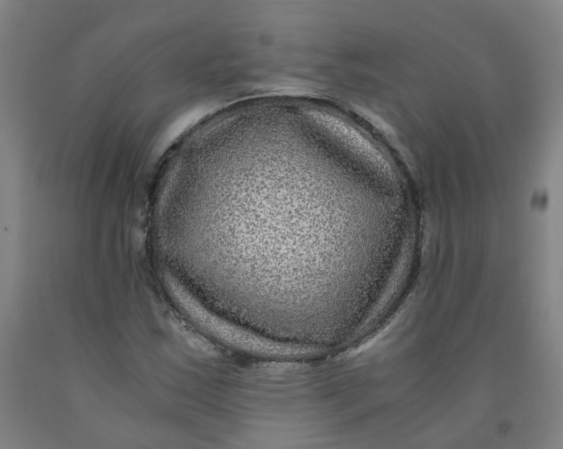 X0000091981163200709271421