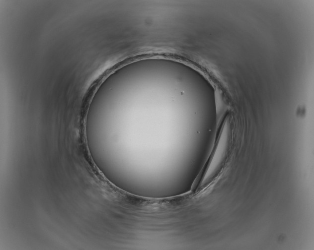 X0000091981165200709271421