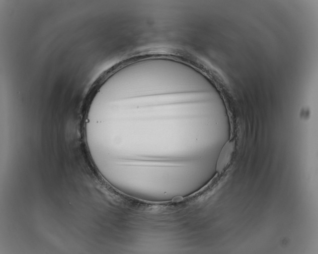 X0000091981166200709271421