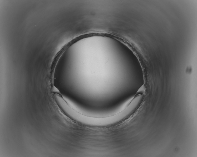 X0000091981168200709271421