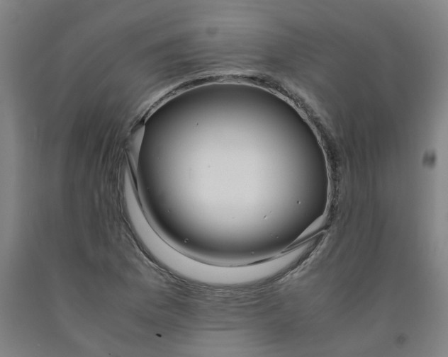 X0000091981169200709271421