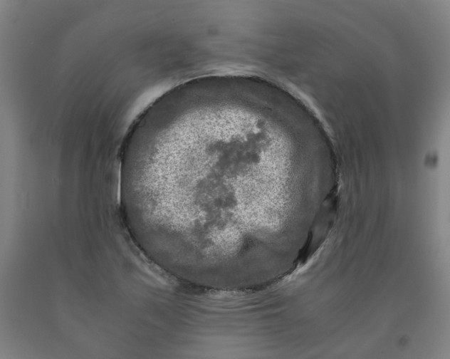 X0000091981171200709271421