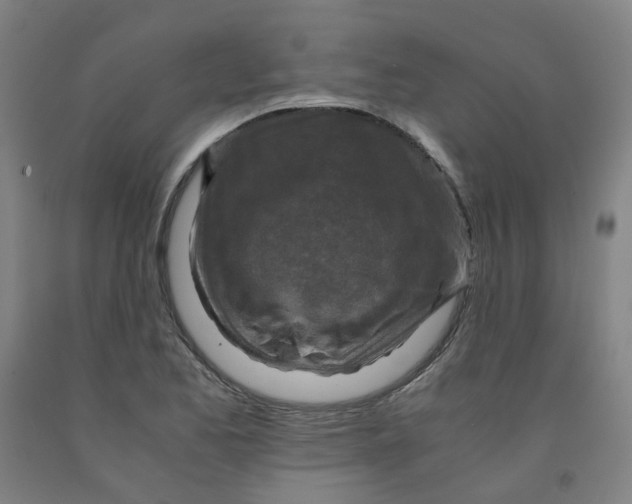 X0000091981173200709271421