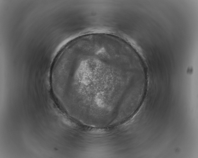 X0000091981174200709271421