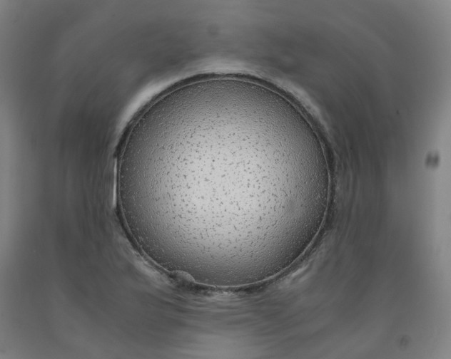 X0000091981175200709271421