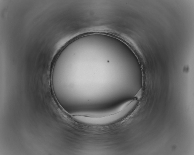 X0000091981176200709271421