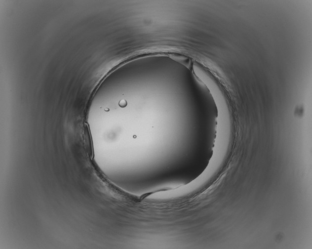 X0000091981177200709271421