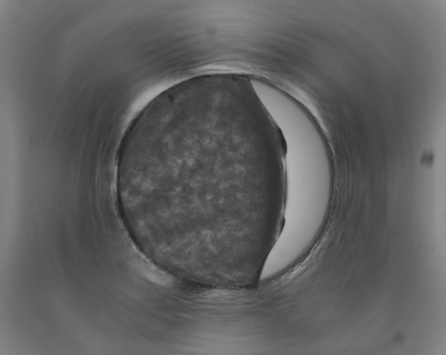 X0000091981179200709271421