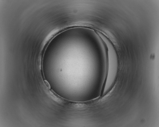 X0000091981180200709271421