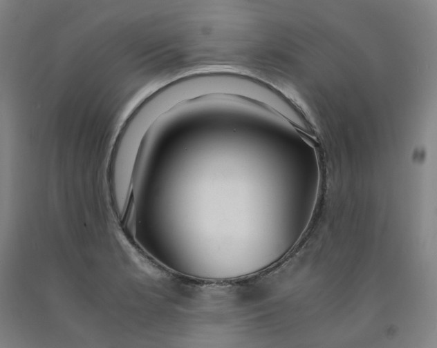 X0000091981181200709271421