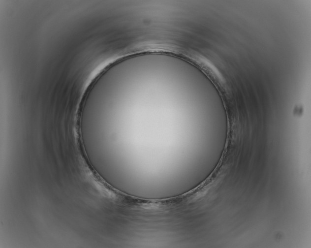 X0000091981182200709271421