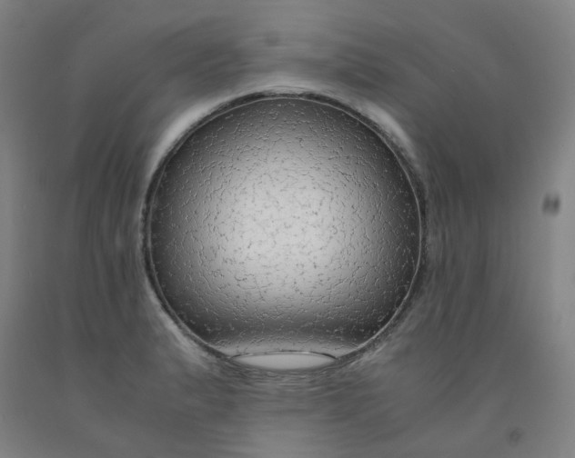 X0000091981183200709271421