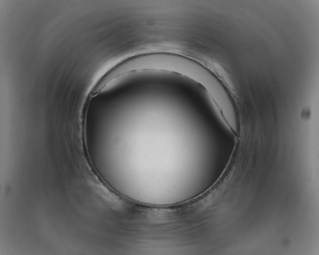 X0000091981184200709271421