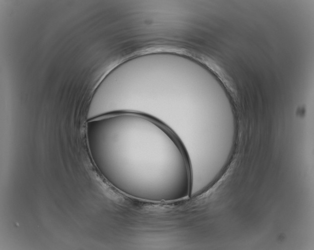 X0000091981185200709271421