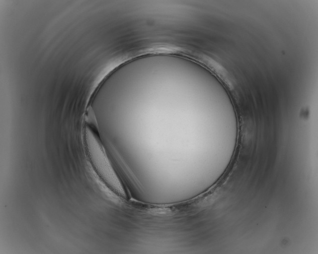 X0000091981186200709271421