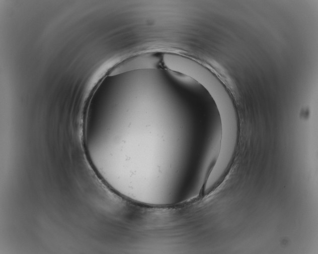 X0000091981188200709271421